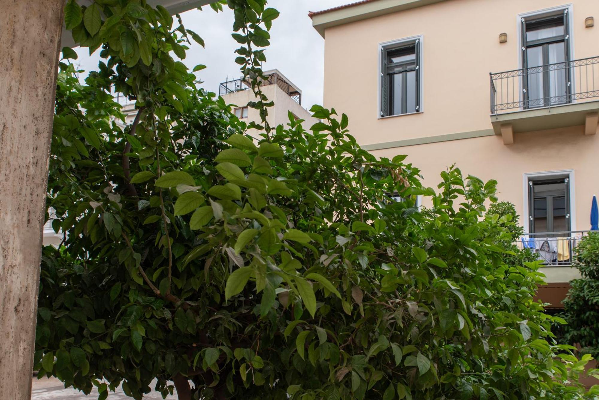 Filopappou Lemons Twins Luxurious Apartment Near To Acropolis Ateny Zewnętrze zdjęcie